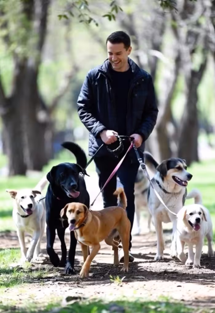 Clean, professional pet grooming salon with grooming table and equipment