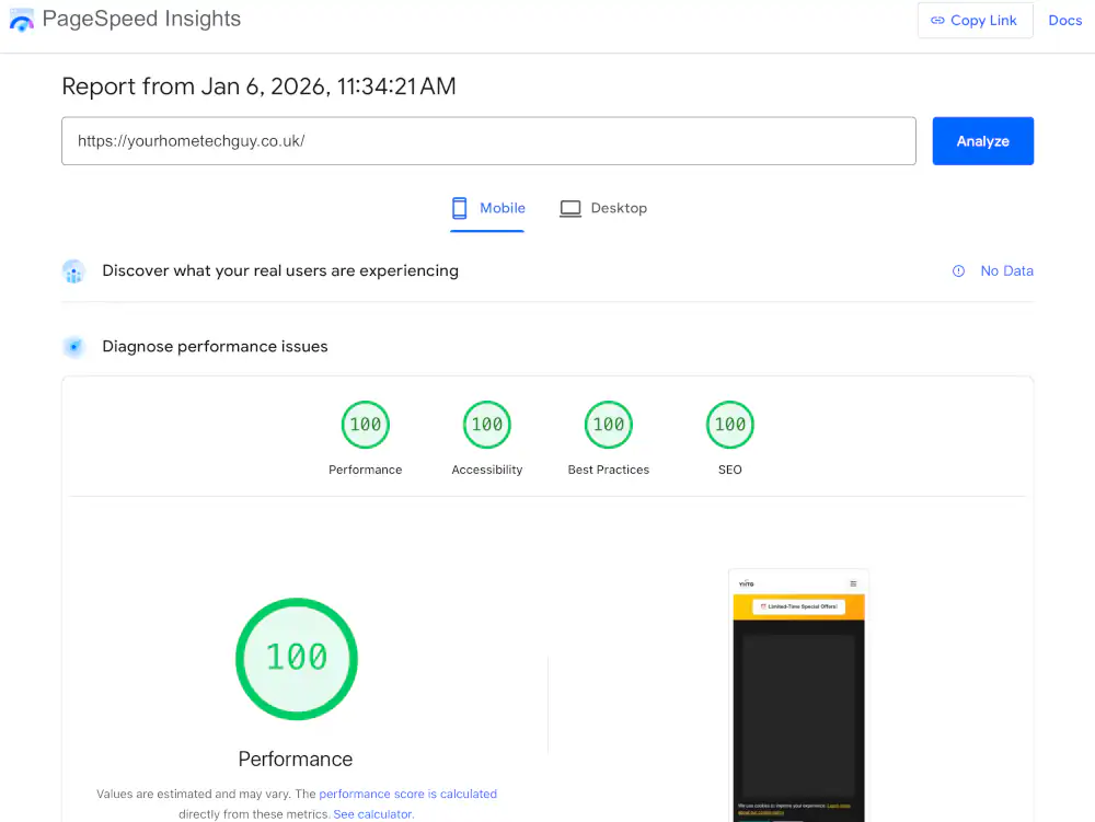 Your Home Tech Guy PageSpeed score showing 100/100 across all metrics