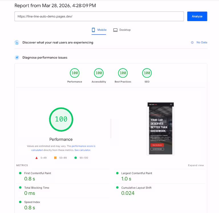 Fine Line Auto PageSpeed score showing 100/100 across all metrics