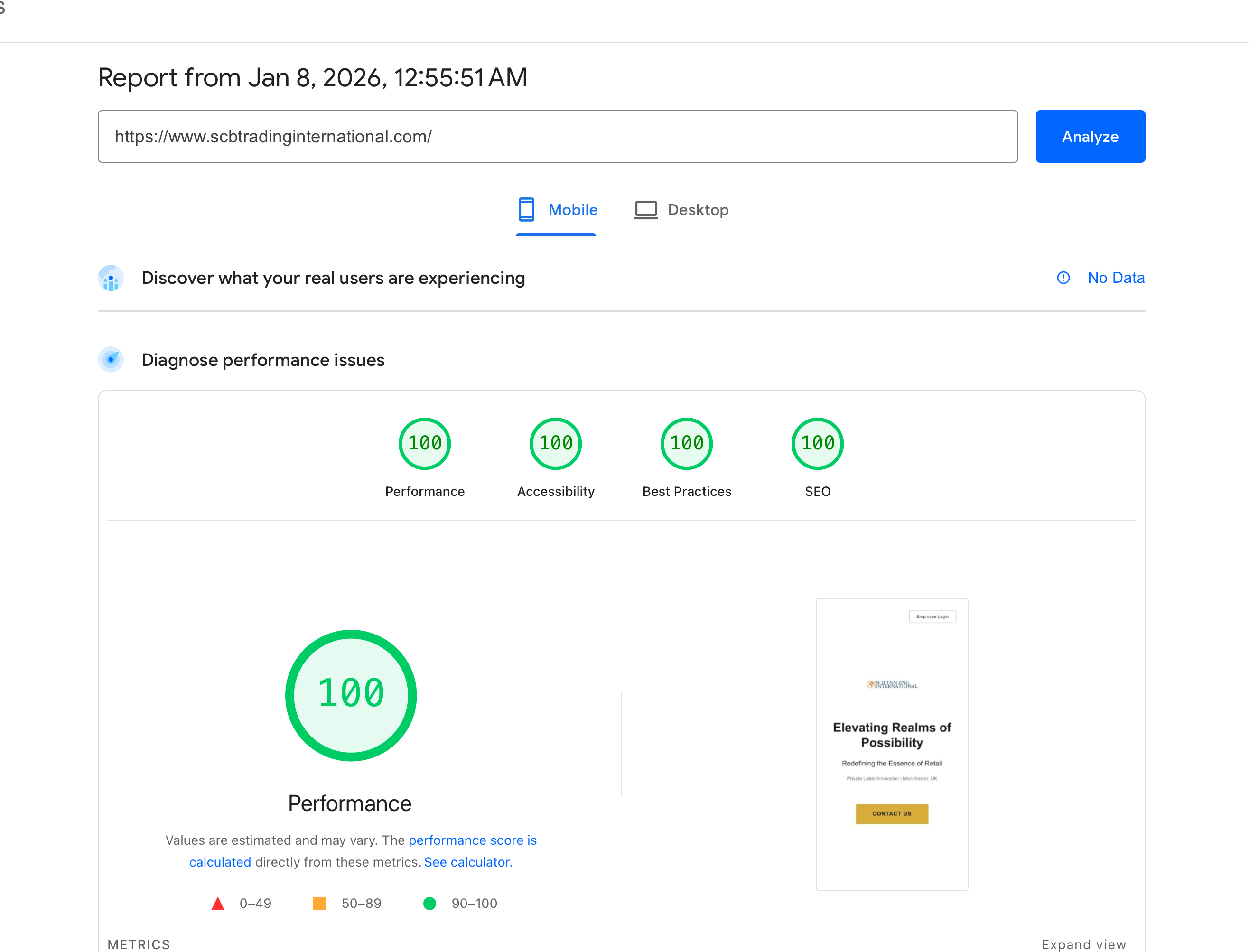 SCB Trading International PageSpeed Score